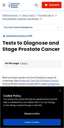 webpage mobile image