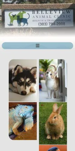webpage mobile image