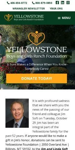 webpage mobile image