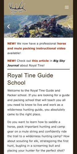 webpage mobile image